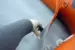 Съемный коврик на дно + чехол Azimut Expedition 440 - 470